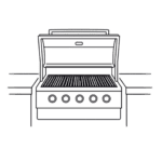 Built-In Grills