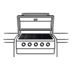 Built-In Grills